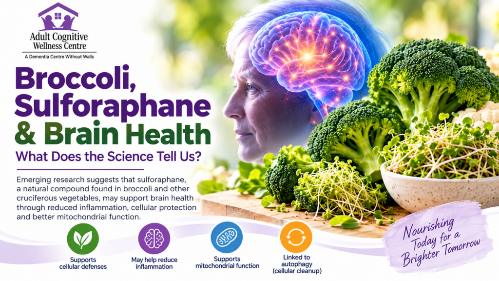 Broccoli, Sulforaphane and Brain Health