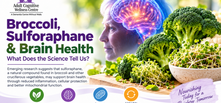 Broccoli, Sulforaphane and Brain Health